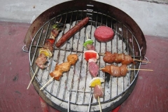 ZWN-BBQ-2009-07