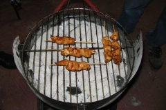 ZWN-BBQ-2009-11