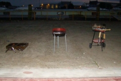 2012-ZWN-BBQ-13