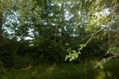 2013-Vossenjachten-070