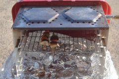 2014-Barbecue