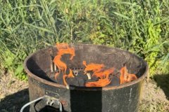 20250907-BBQ-42