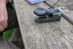 2025-COTA-095