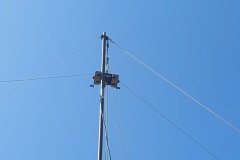 20250621-PA80SODS-Ellewoutsdijk-49