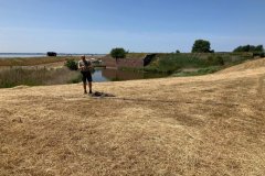 20250621-PA80SODS-Ellewoutsdijk-54