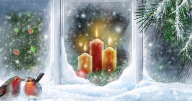 Prettige Feestdagen gewenst! Prettige Feestdagen gewenst!